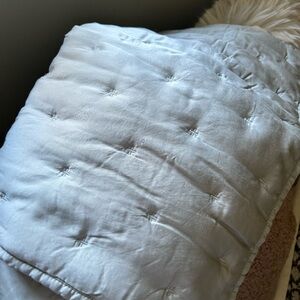 2 Pottery Barn Tencel shams